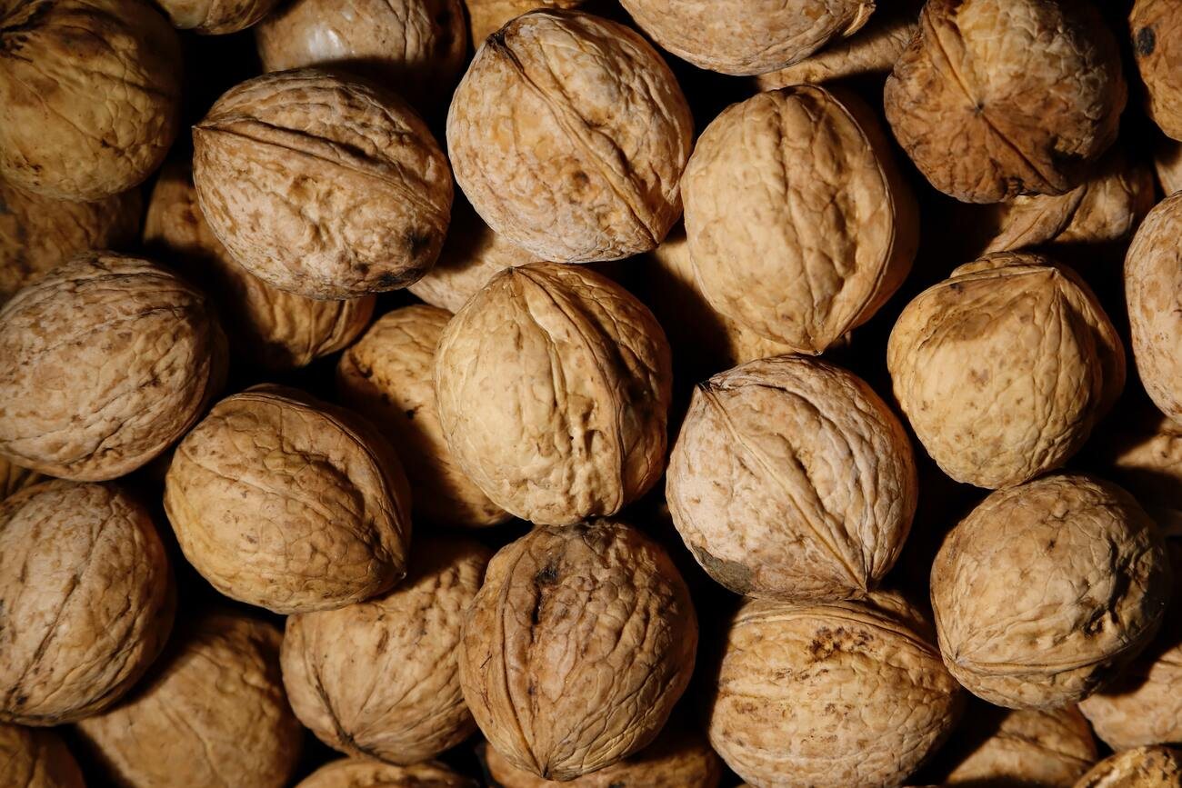 Nueces en cáscara